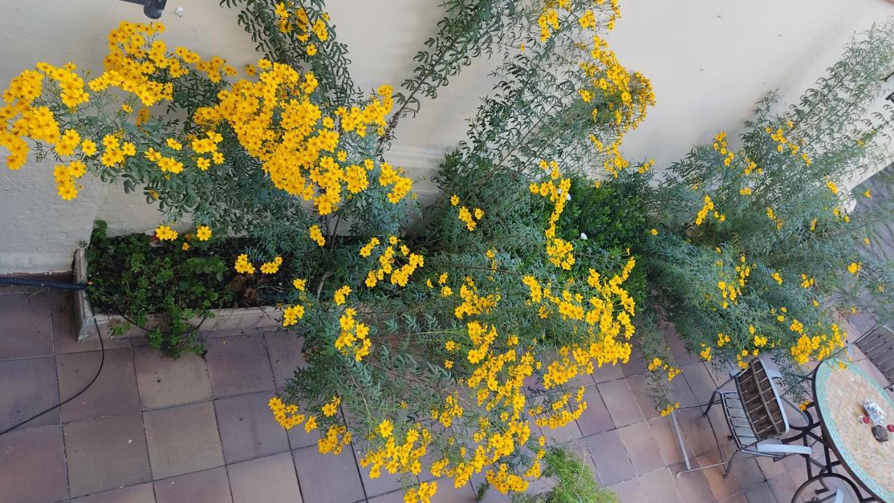 Casa Mo Apartment ซาบาเดย์ ภายนอก รูปภาพ